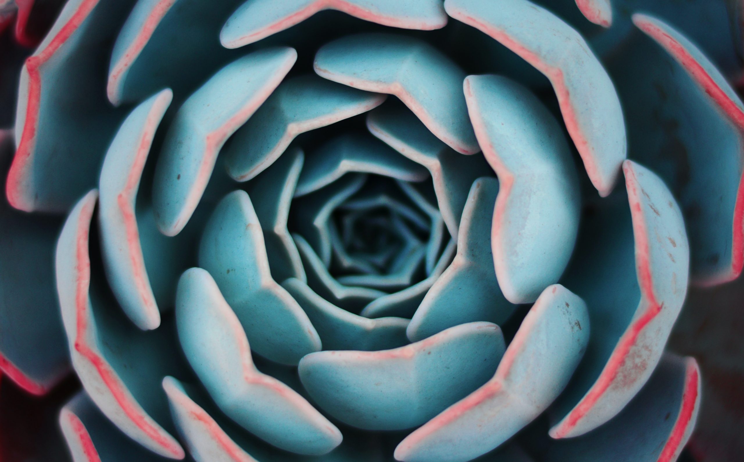 https://www.pkf-attest.es/auditoria-assurance/wp-content/uploads/sites/4/2023/07/yousef-espanioly-L6g30JaQ5Tc-unsplash-scaled.jpg