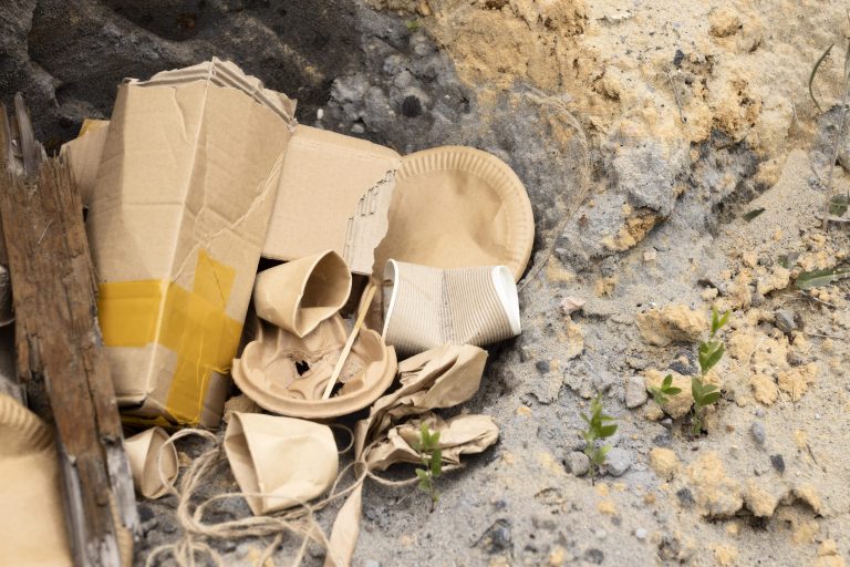 reglamento contaminantes orgánicos