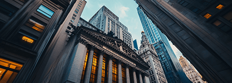 Consultoría Económica